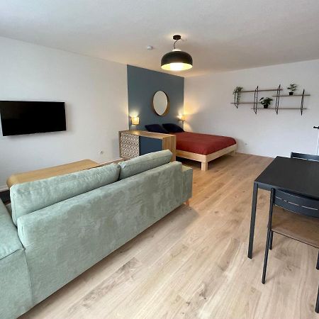Grand Studio Joli Coeur - Calme Cosy Lumineux + Parking Apartamento Nancy Exterior foto